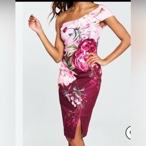 Ted Baker Pink and Burgundy Floral One-Shoulder Bodycon Dress
